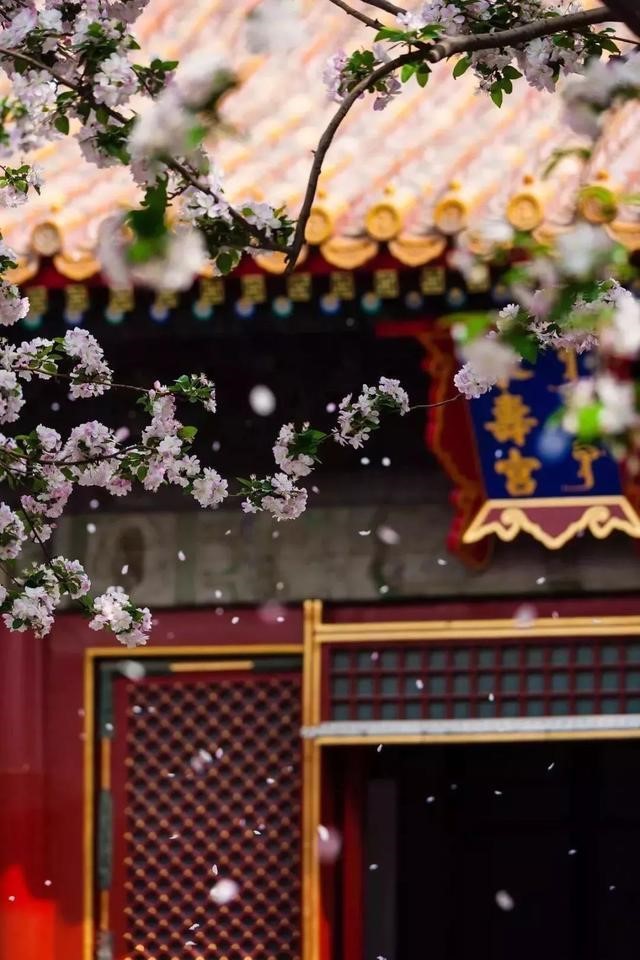 1540453296543028252.jpg 4.jpg