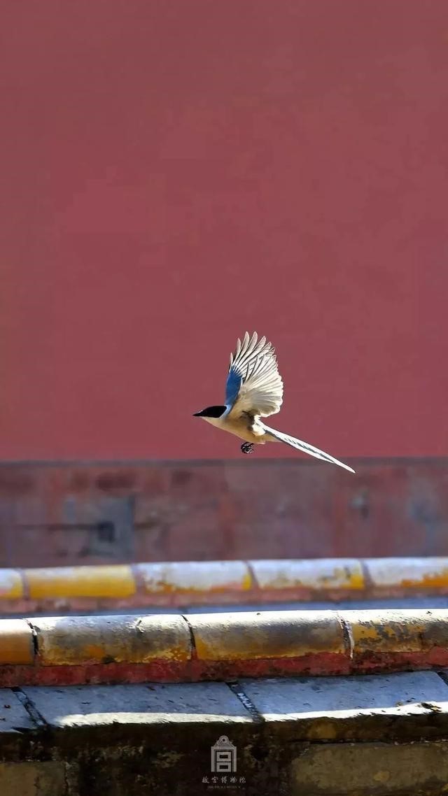 1540453458150059153.jpg 5.jpg